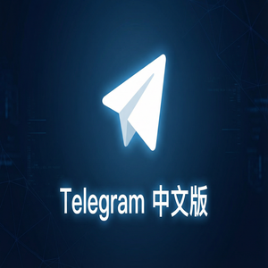 电报中文版聊天记录如何导出为文本或文件？（避坑版） - Telegram 官网
